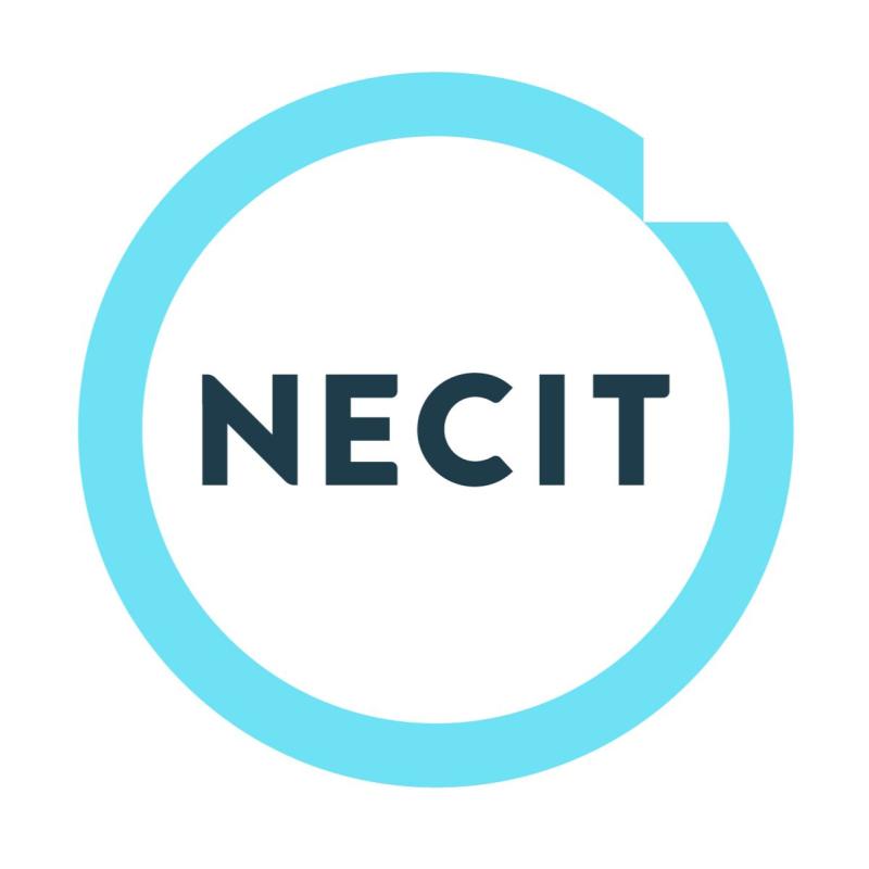 NECIT Services Limited